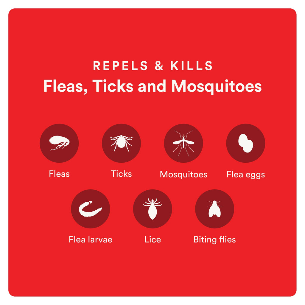 Flea and Tick Prevention for Small Dogs 6 Doses X891
