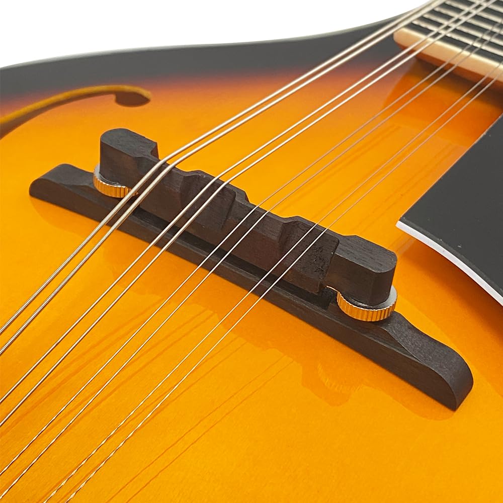 A-Style 8 String Mahogany Acoustic Mandolin D7140