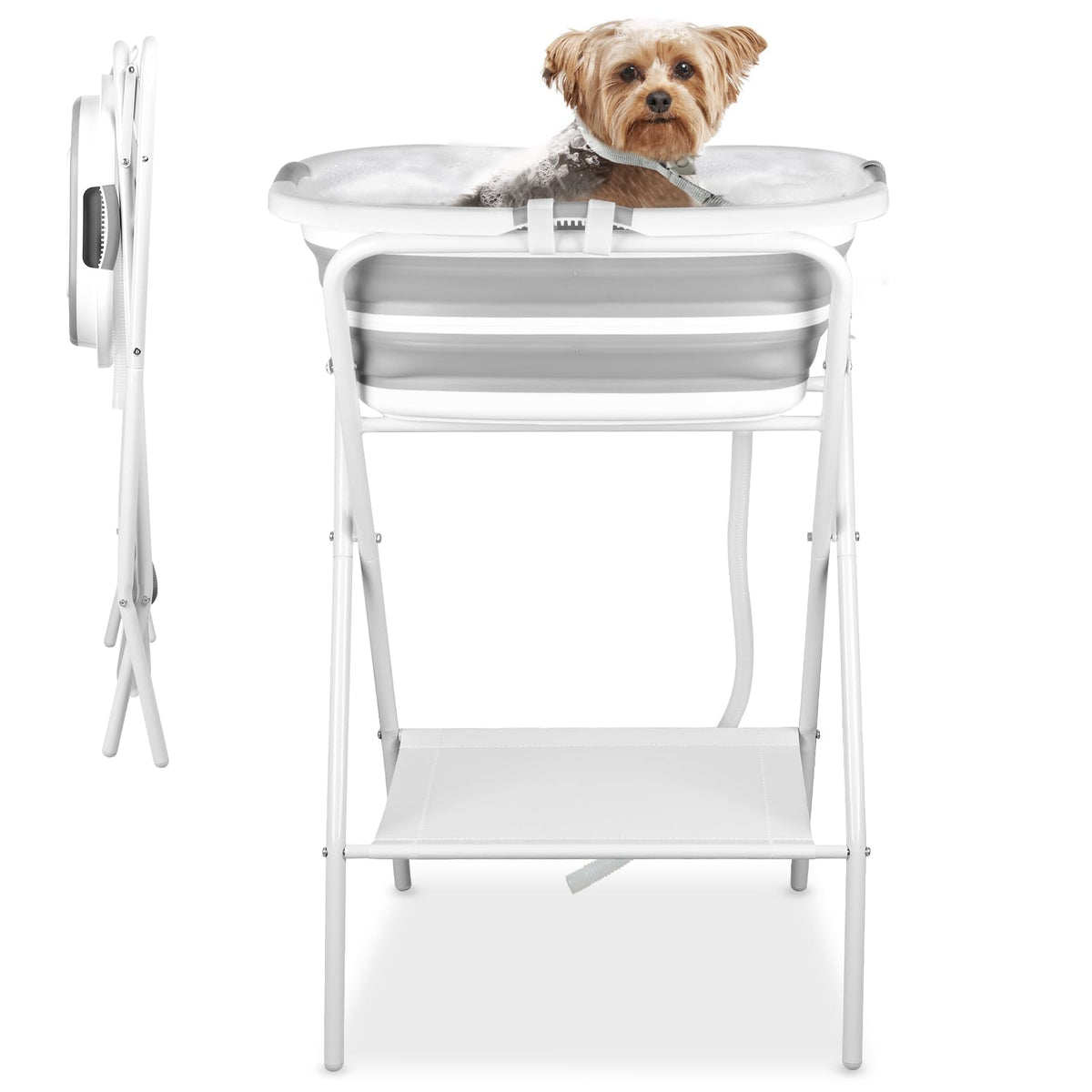 Elevated Dog Bathtub X8622
