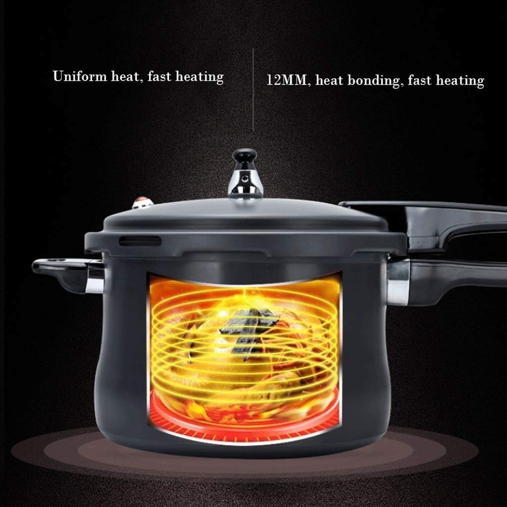 Black 3L Stainless Steel Pressure Cooker N493904