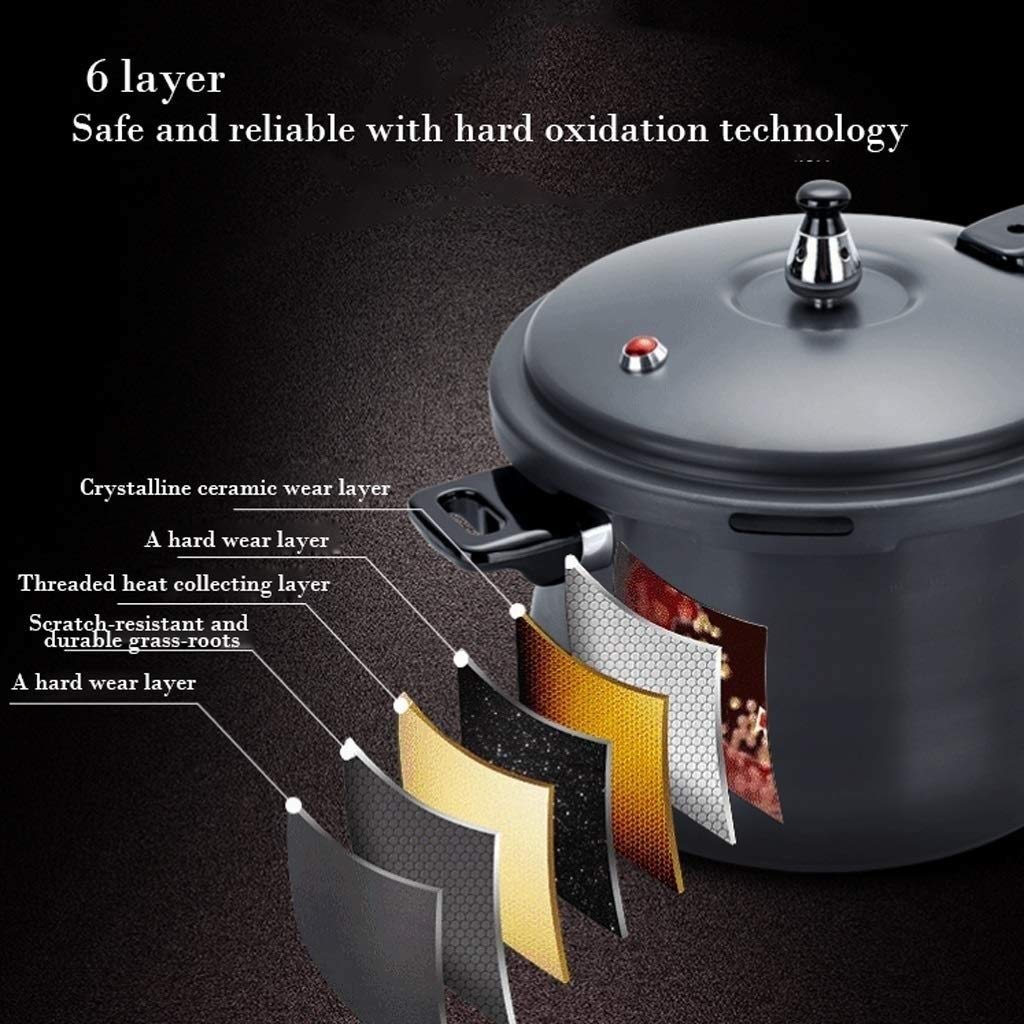 Black 3L Stainless Steel Pressure Cooker N493904