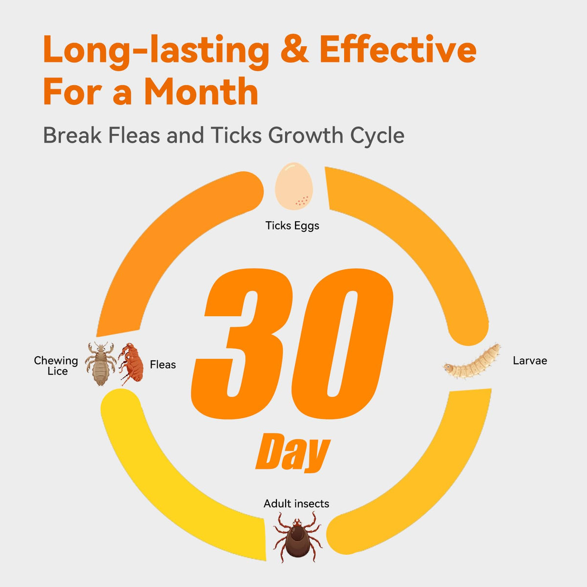 Flea and Tick Prevention for Large Dogs 3 Monthly Doses U694