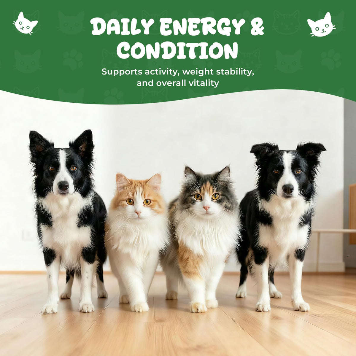 Thyroid Support for Dogs & Cats T75388