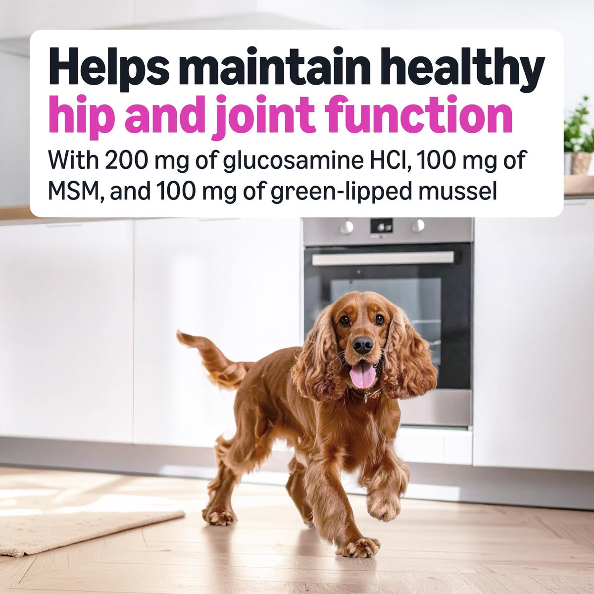 Dog Hip & Joint Supplement Chews with Glucosamine, MSM, Vitamin C, Duck Flavored, 120 Count Y91588