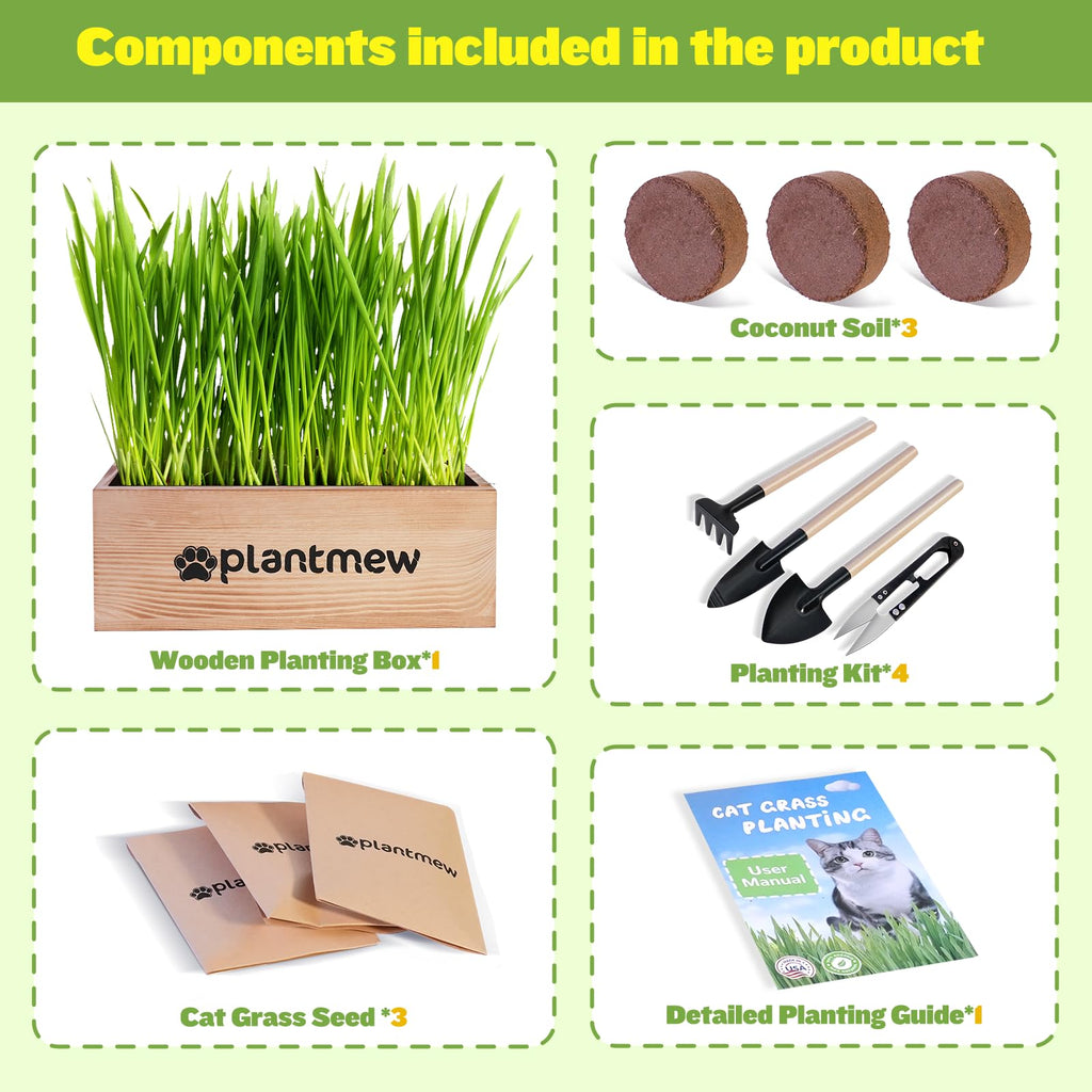 Cat Grass Kit with Seeds, Soil & Planter Pots O790306