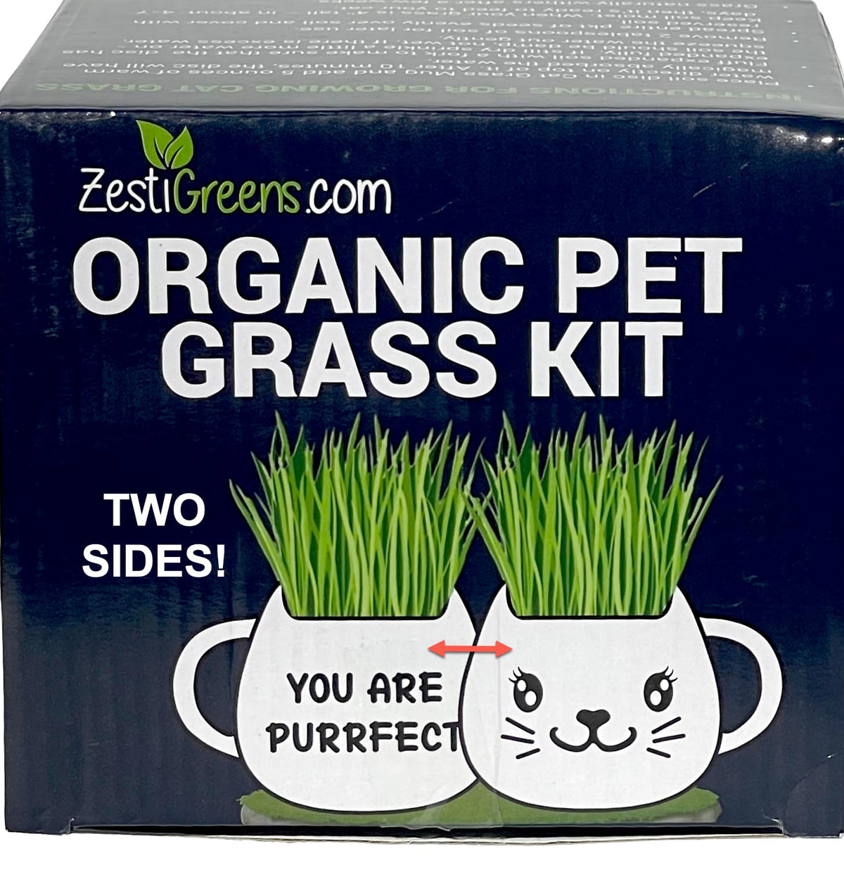 Cat Grass Growing Kit with Seeds, Soil & Ceramic Planter T29944