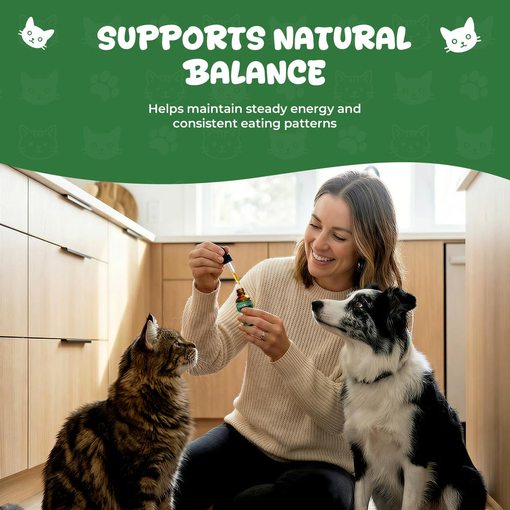 Thyroid Support for Dogs & Cats T75388