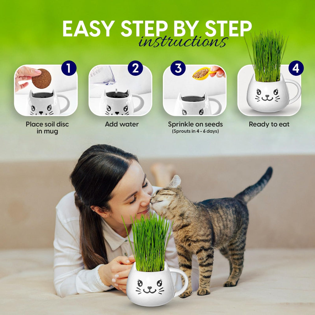 Cat Grass Growing Kit with Seeds, Soil & Ceramic Planter T29944