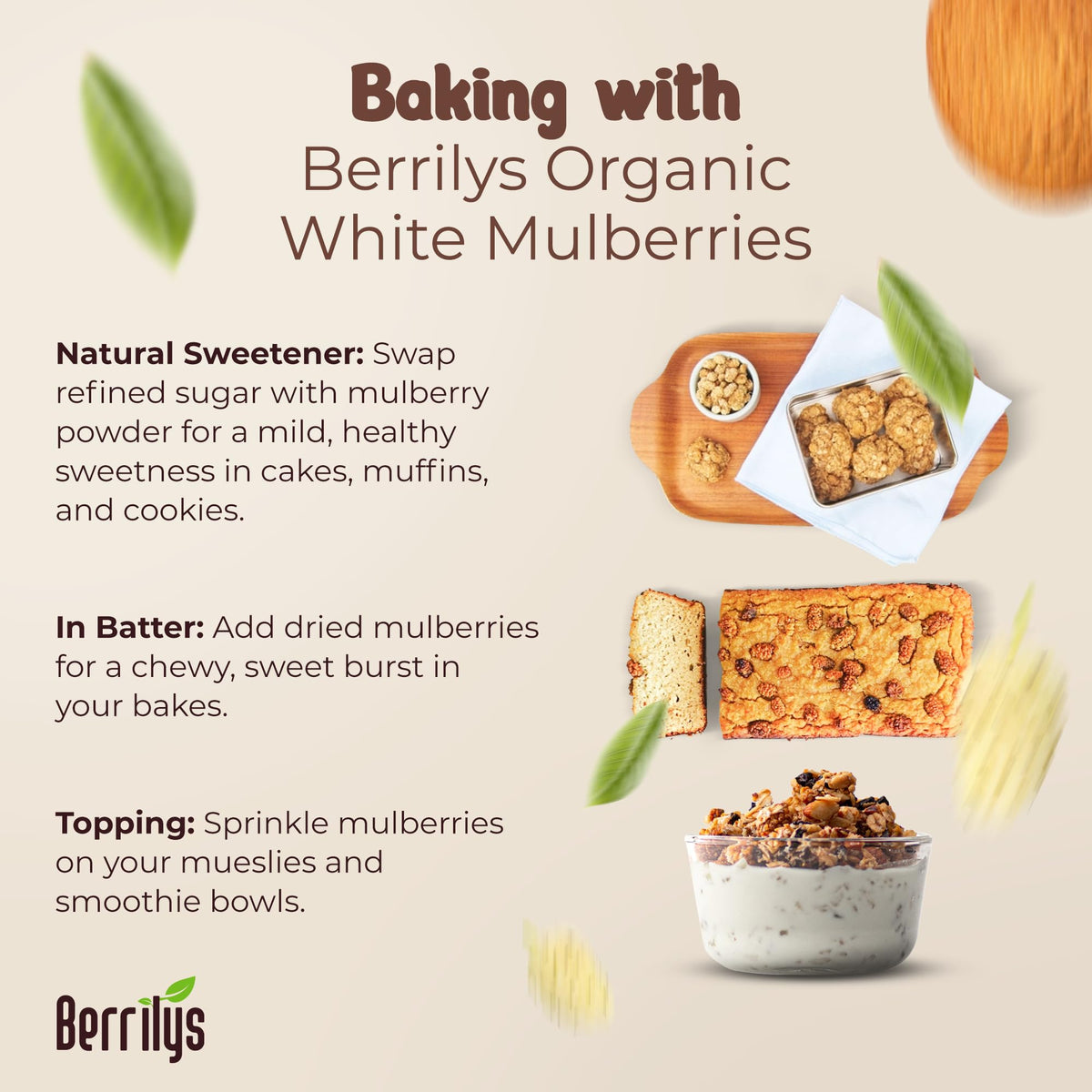 Organic Dried White Mulberries 2 Pack 10oz V59355