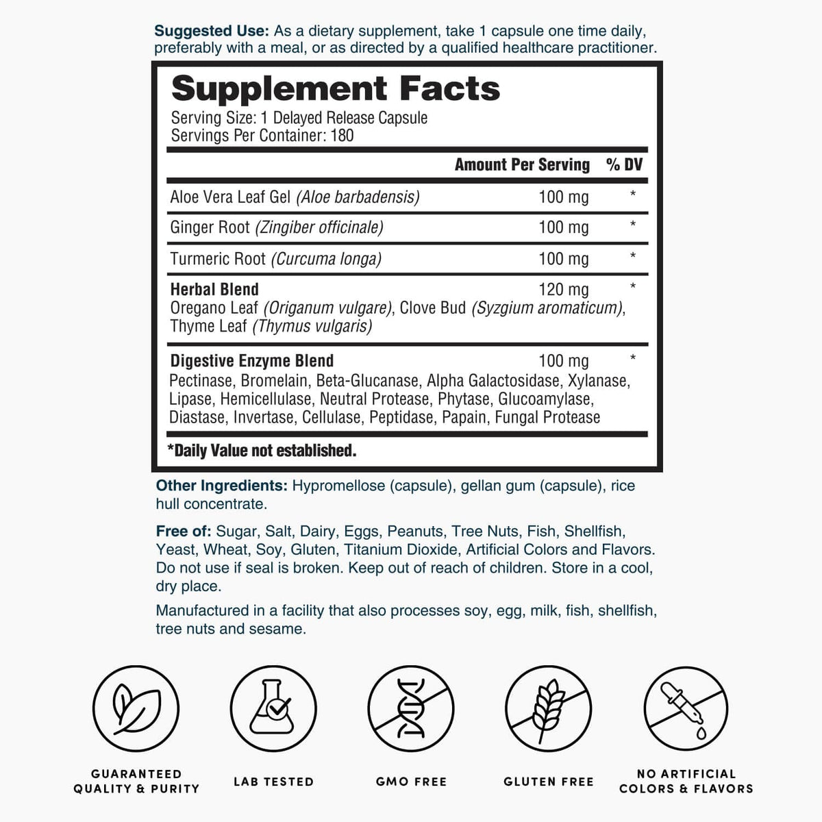 180 Capsules Digestive Enzymes with Aloe Turmeric Ginger Oregano G8382
