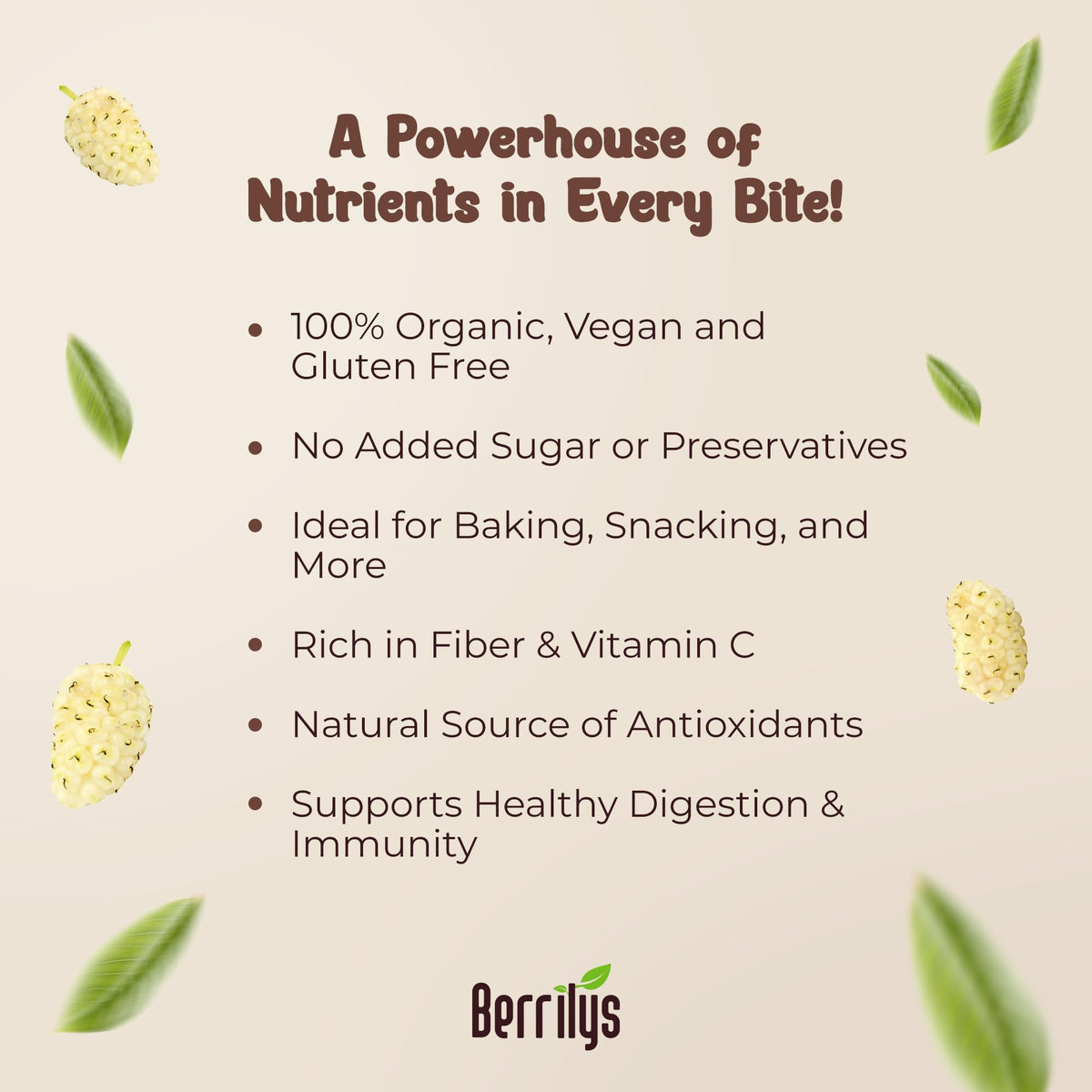 Organic Dried White Mulberries 2 Pack 10oz V59355