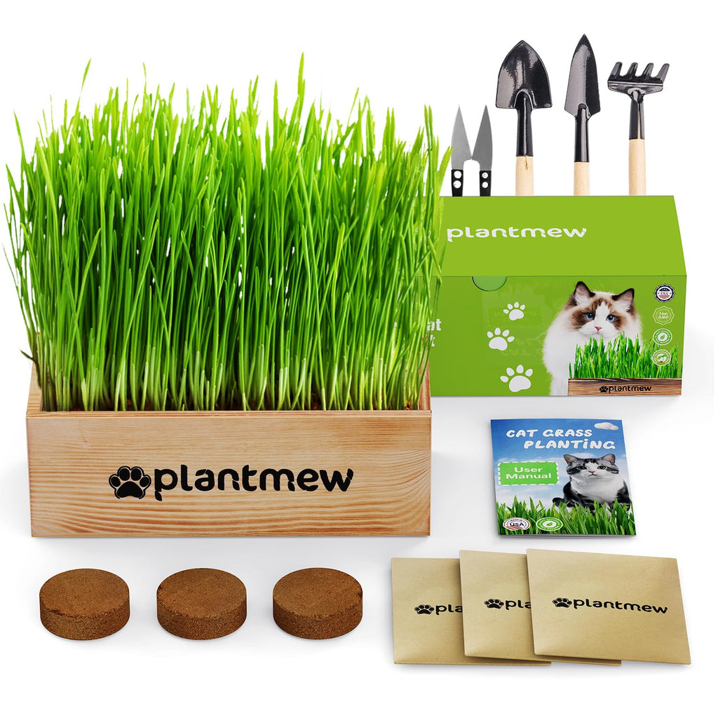 Cat Grass Kit with Seeds, Soil & Planter Pots O790306