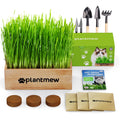 Cat Grass Kit with Seeds, Soil & Planter Pots O790306