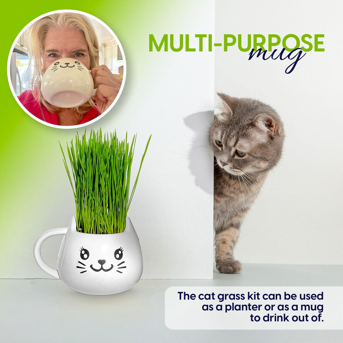 Cat Grass Growing Kit with Seeds, Soil & Ceramic Planter T29944