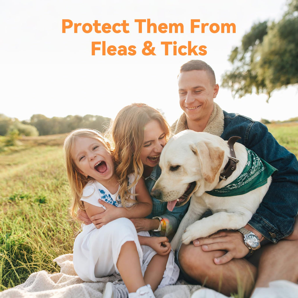 Flea and Tick Prevention for Large Dogs 3 Monthly Doses U694