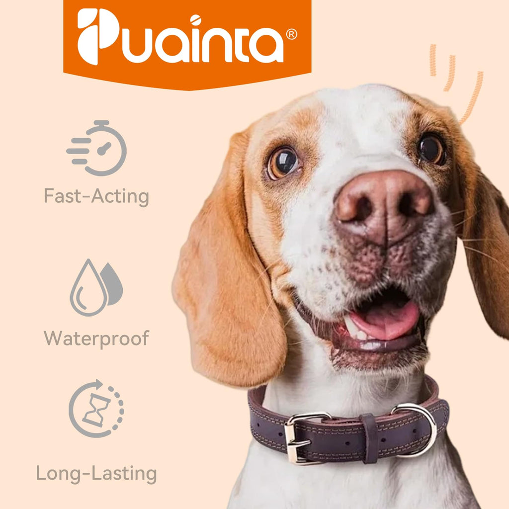 Flea and Tick Prevention for Large Dogs 3 Monthly Doses U694