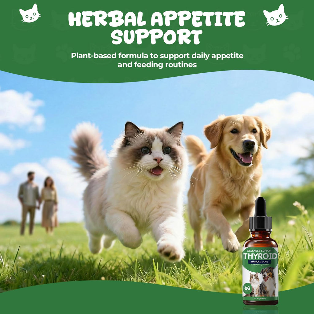 Thyroid Support for Dogs & Cats T75388