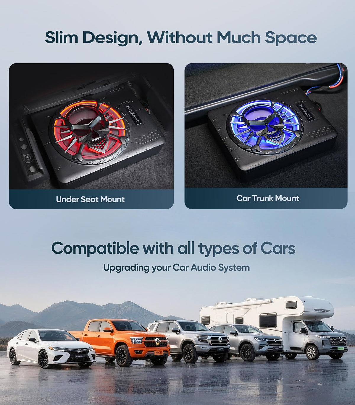 1200W Under Seat Car Subwoofer and Amp W784