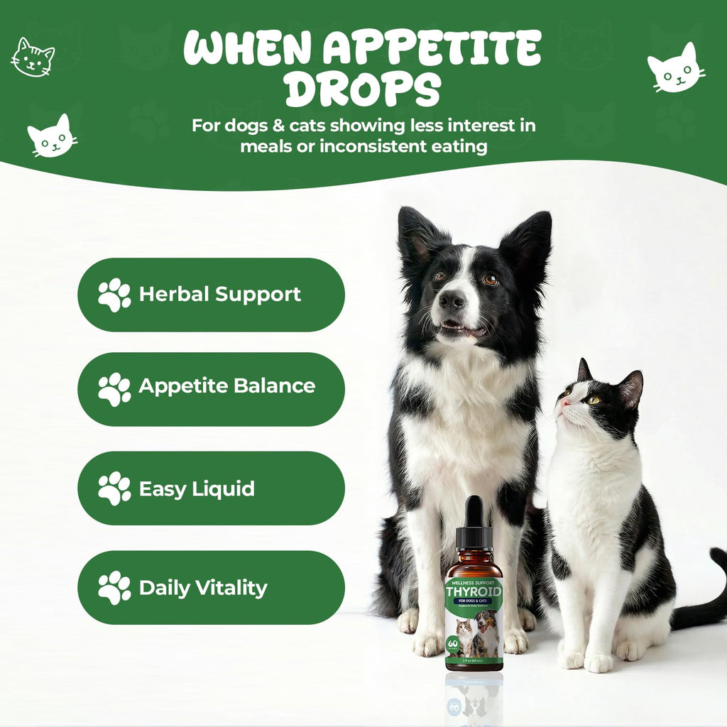 Thyroid Support for Dogs & Cats T75388