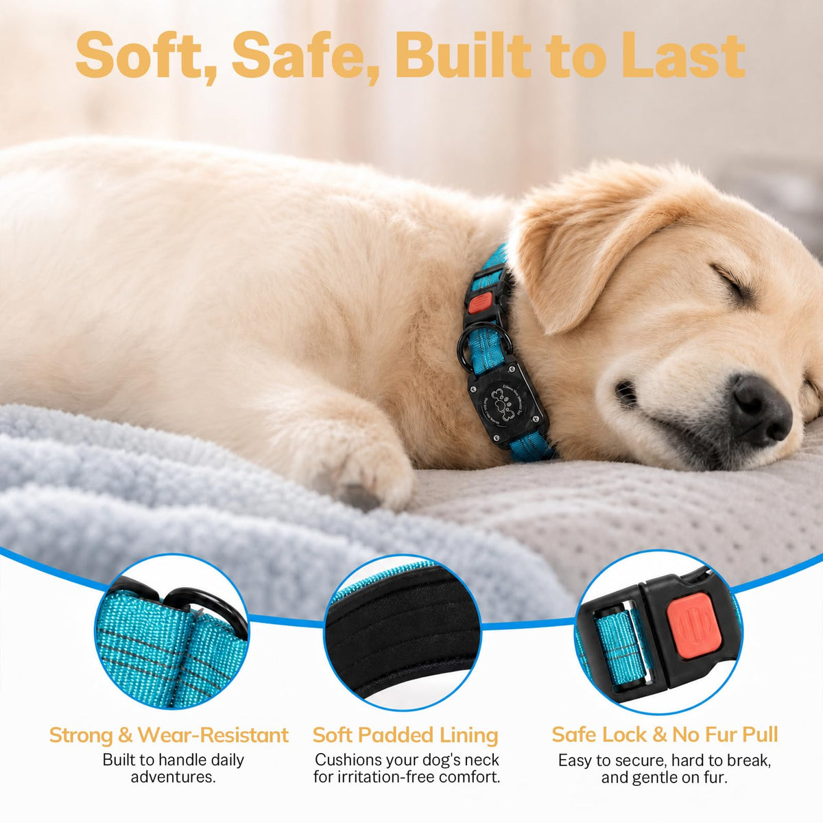 Blue IP68 Waterproof Reflective Dog Collar with AirTag Holder D298