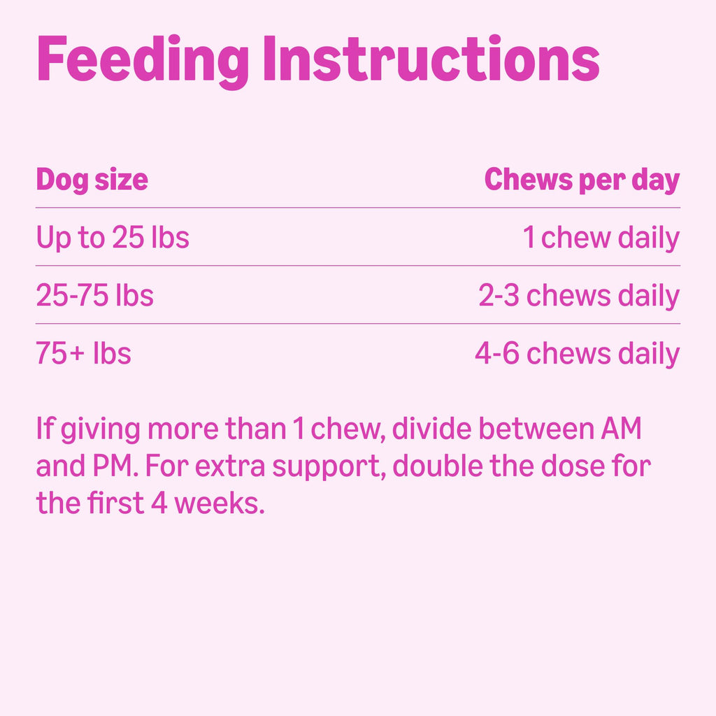 Dog Hip & Joint Supplement Chews with Glucosamine, MSM, Vitamin C, Duck Flavored, 120 Count Y91588
