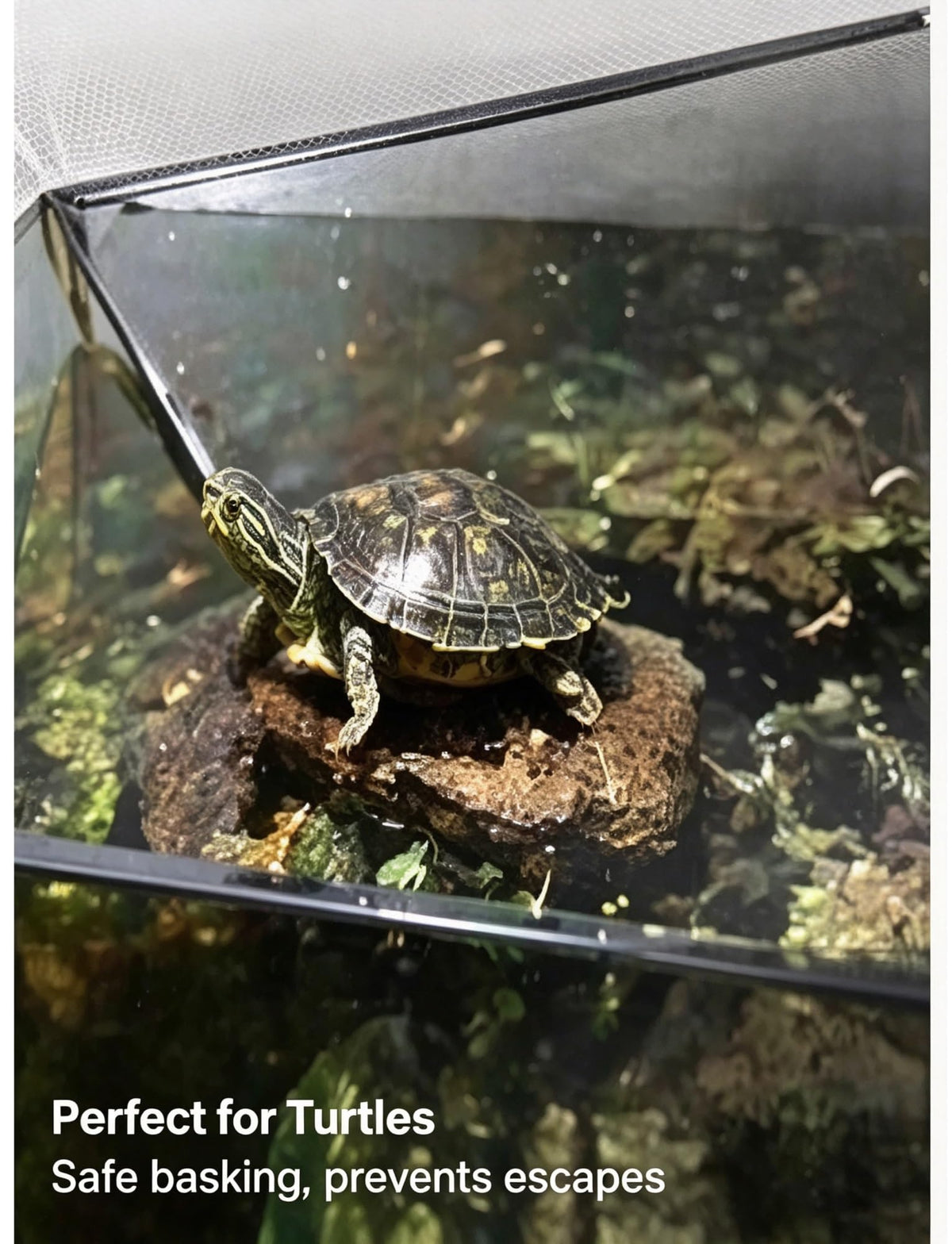 Aluminum Mesh Aquarium Lid for 10-20 Gallon Tanks A660761