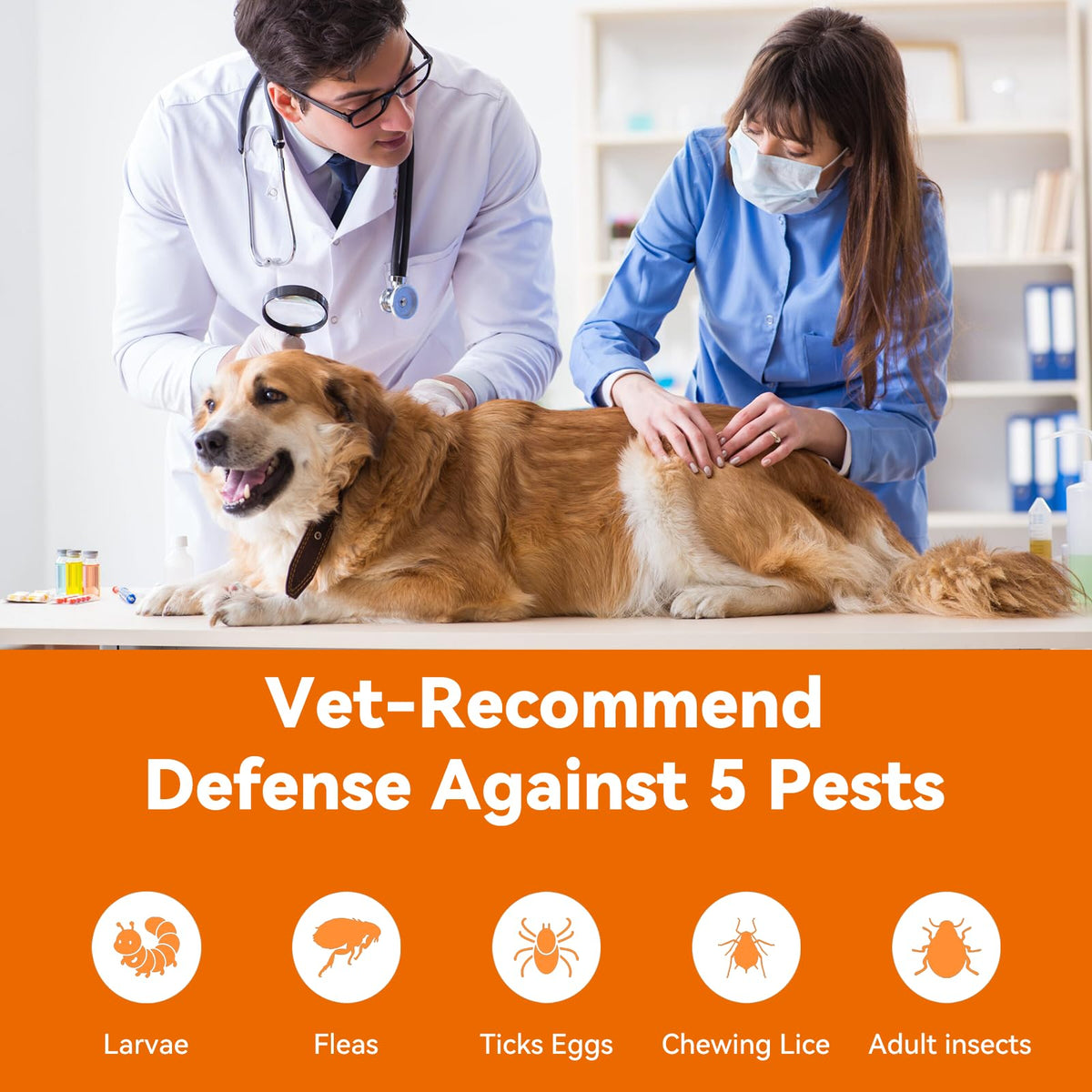 Flea and Tick Prevention for Large Dogs 3 Monthly Doses U694