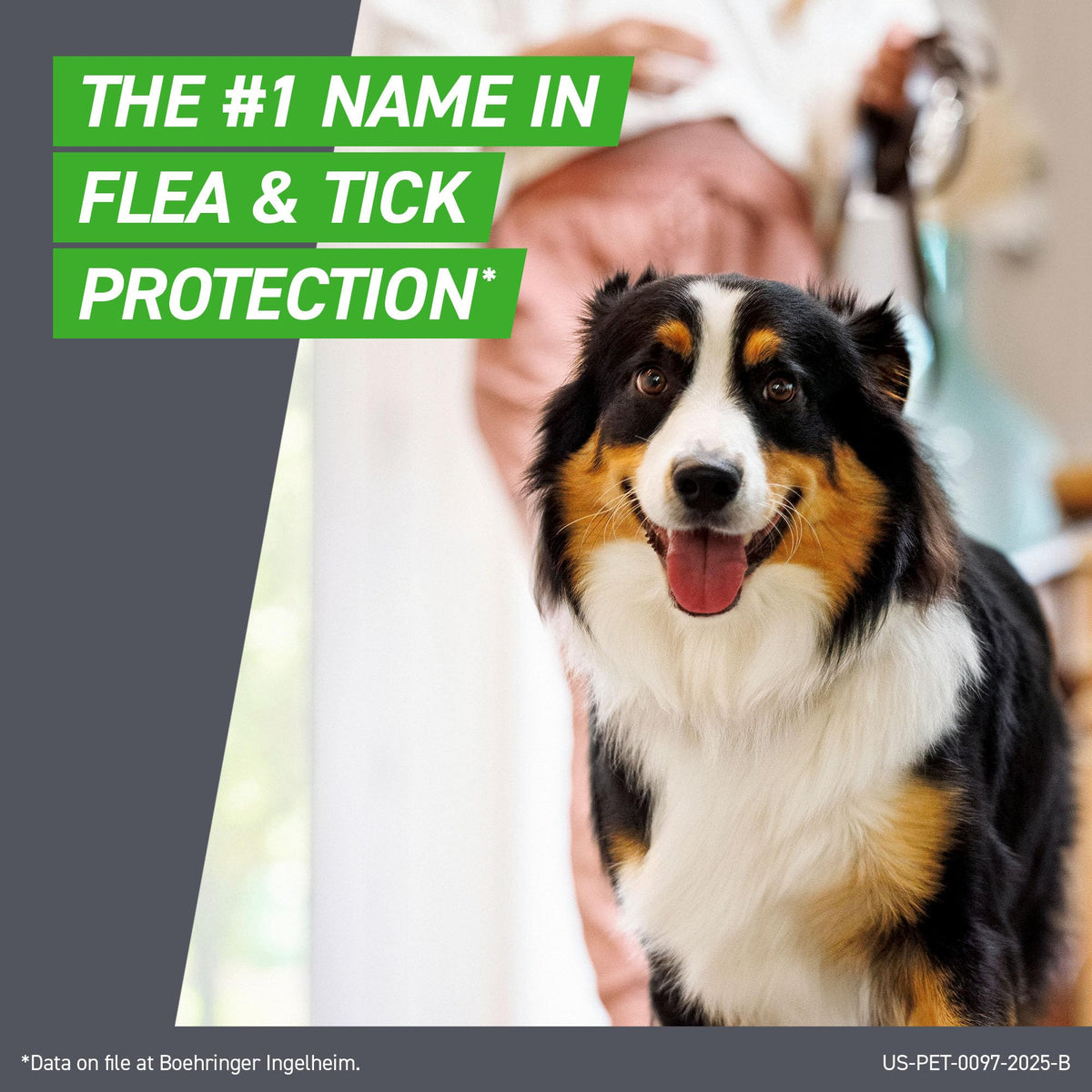 Flea & Tick Spot Treatment for Small Breed Dogs 5-22 lbs D8432