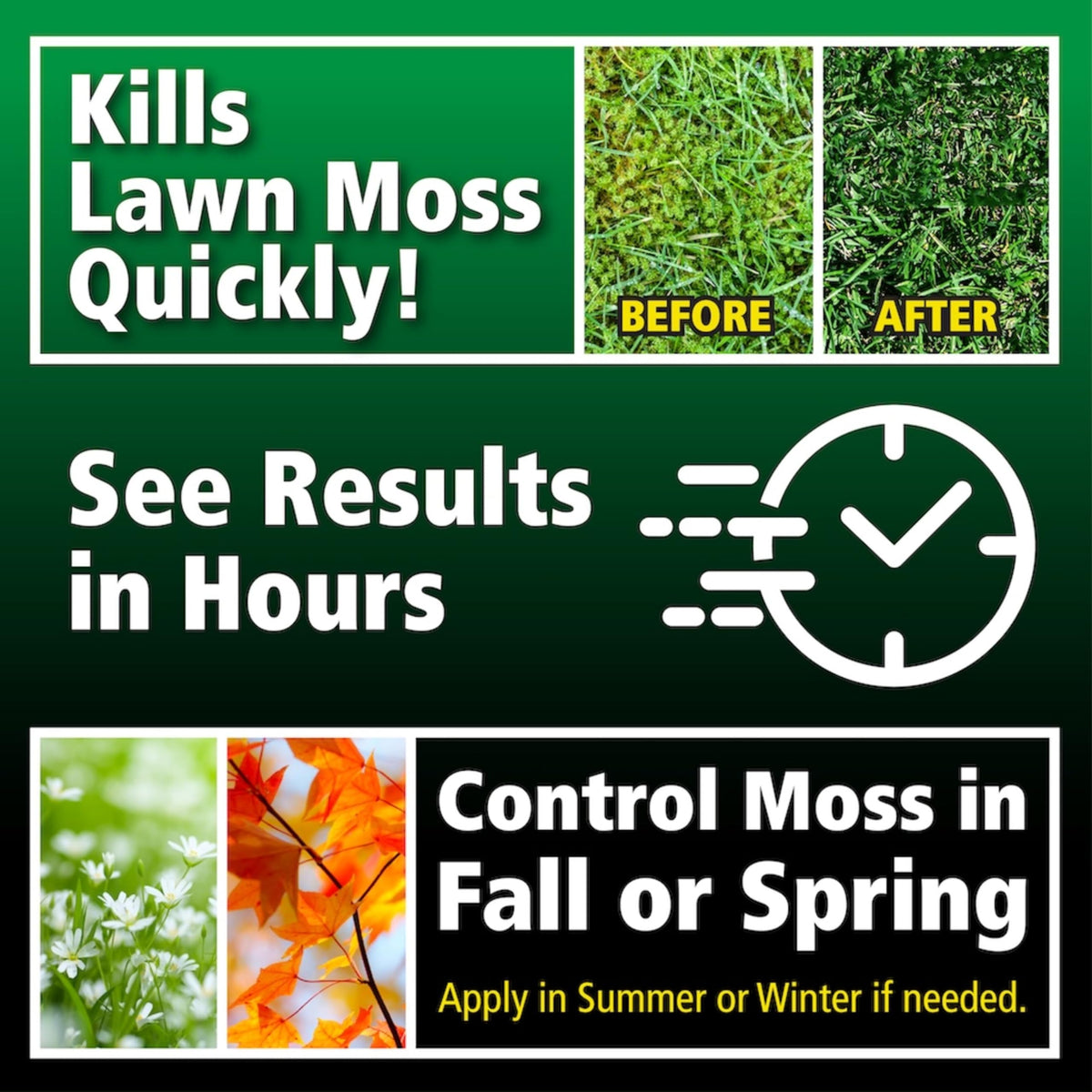 Moss Killer for Lawns Concentrate, 1 Gallon D3567