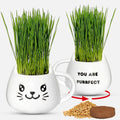 Cat Grass Growing Kit with Seeds, Soil & Ceramic Planter T29944