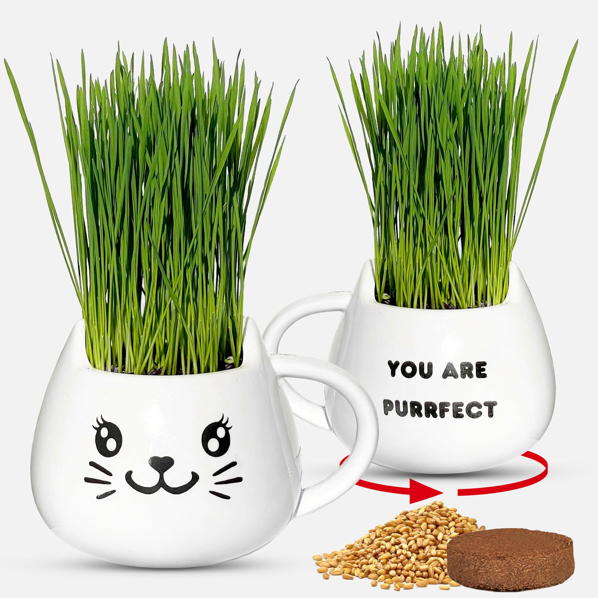 Cat Grass Growing Kit with Seeds, Soil & Ceramic Planter T29944