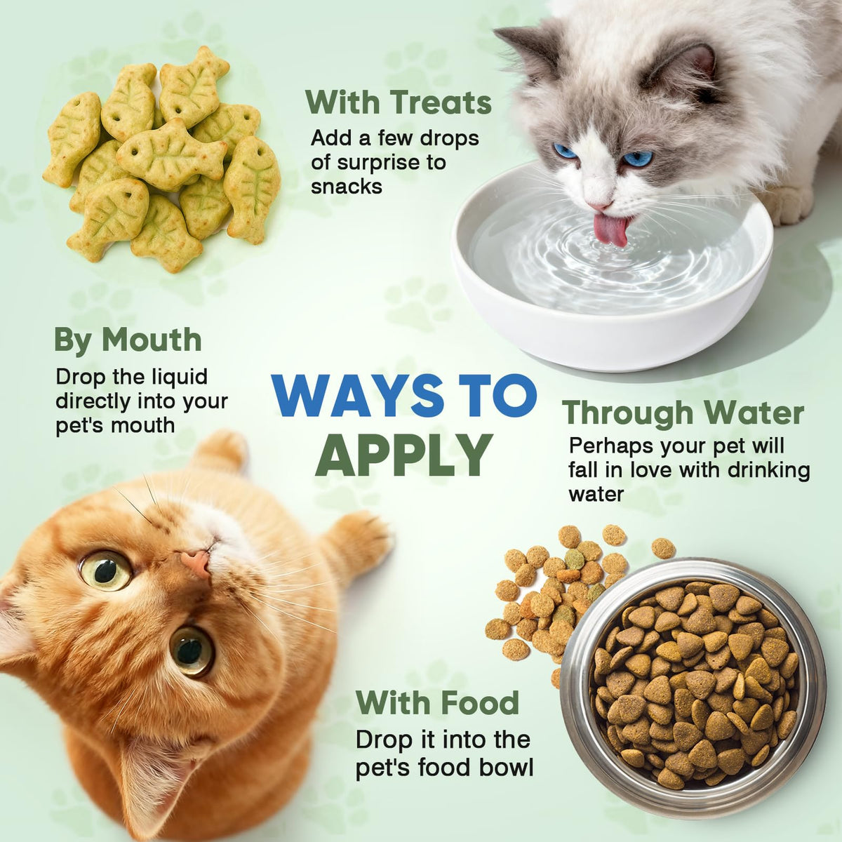 Cat Hairball Remedy Drops 60ml (2 fl oz) 2 Pack C8883