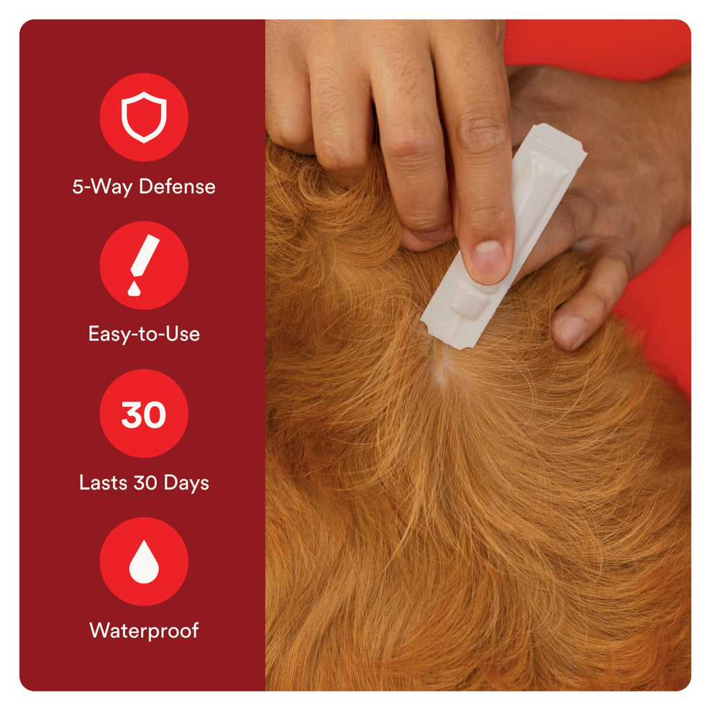 Flea and Tick Prevention for Small Dogs 6 Doses X891