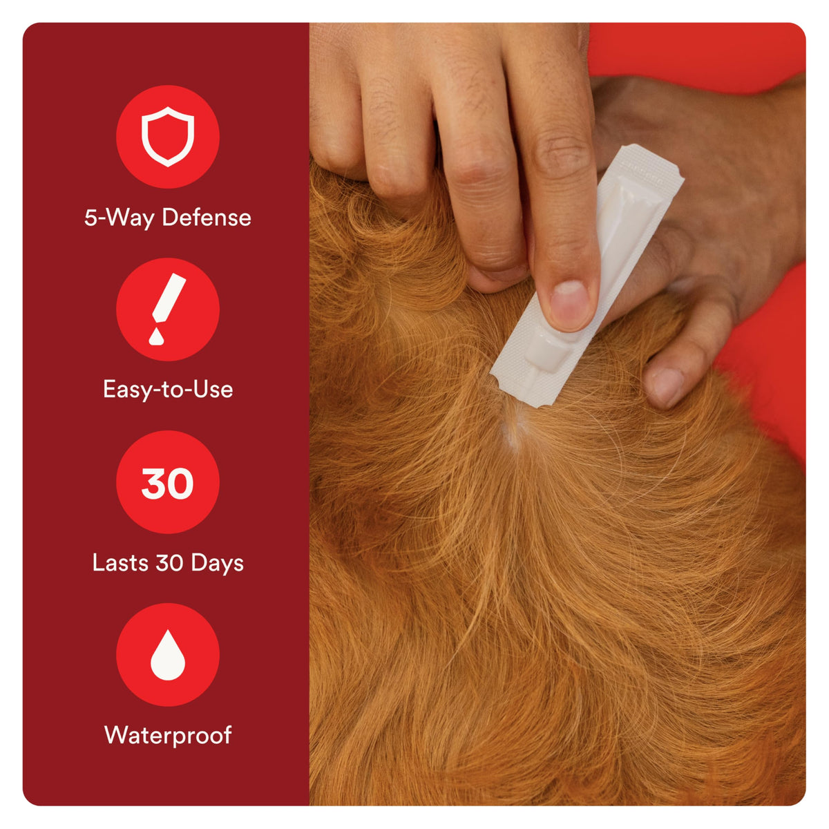 Flea and Tick Prevention for Small Dogs 6 Doses X891