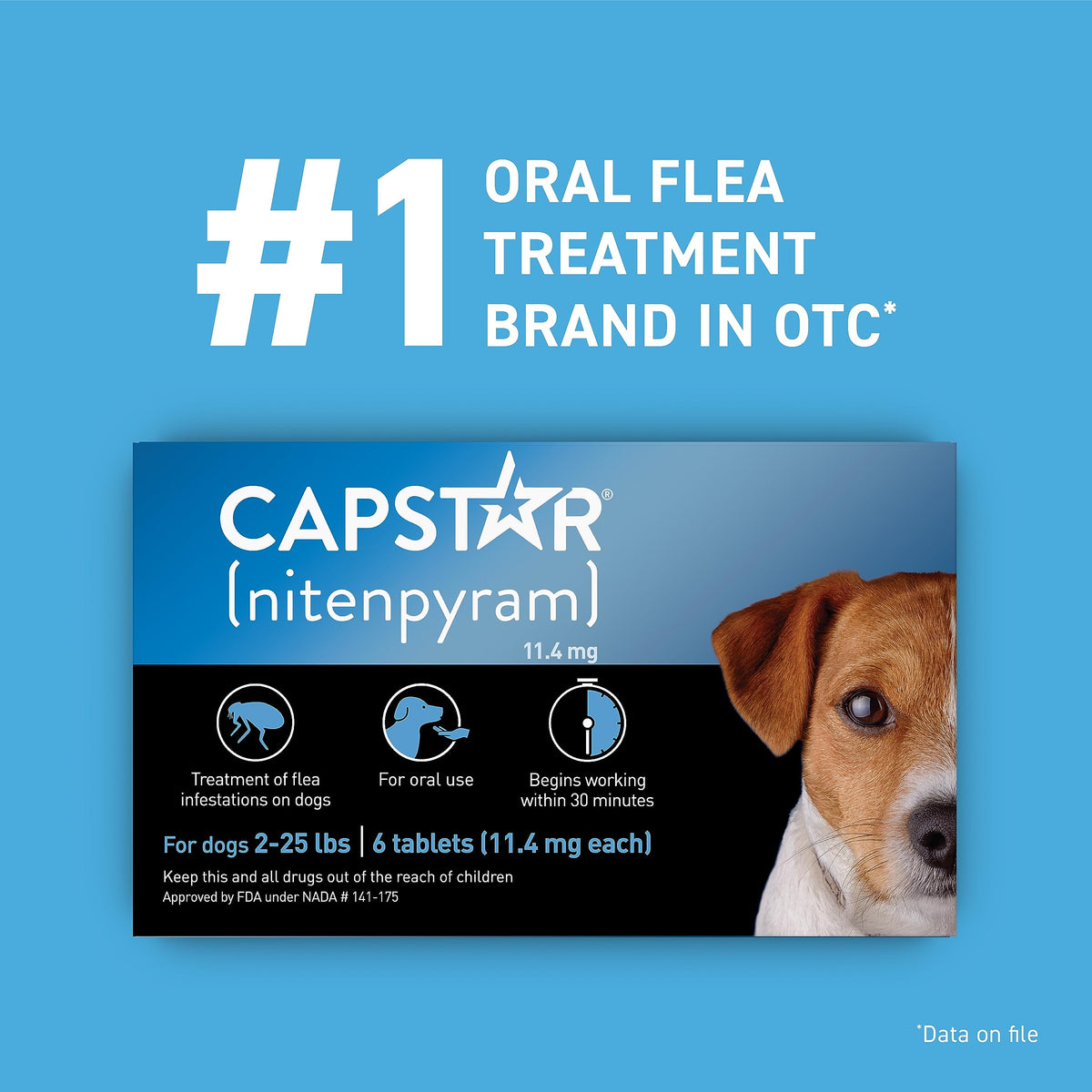 Flea and Tick Prevention for Small Dogs 6 Doses X891
