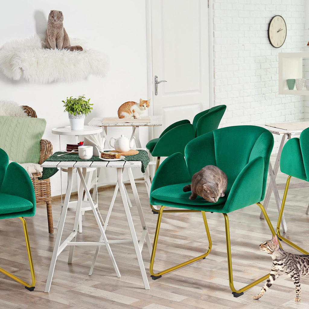 Green Flower Shape Accent Chairs Set of 2 D700