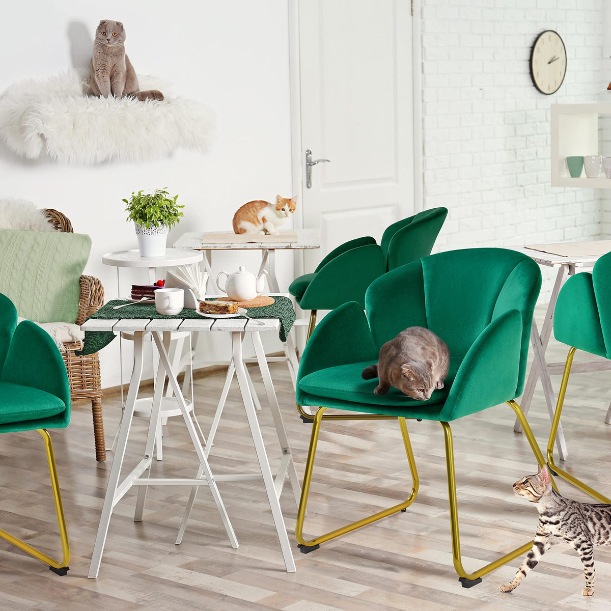 Green Flower Shape Accent Chairs Set of 2 D700