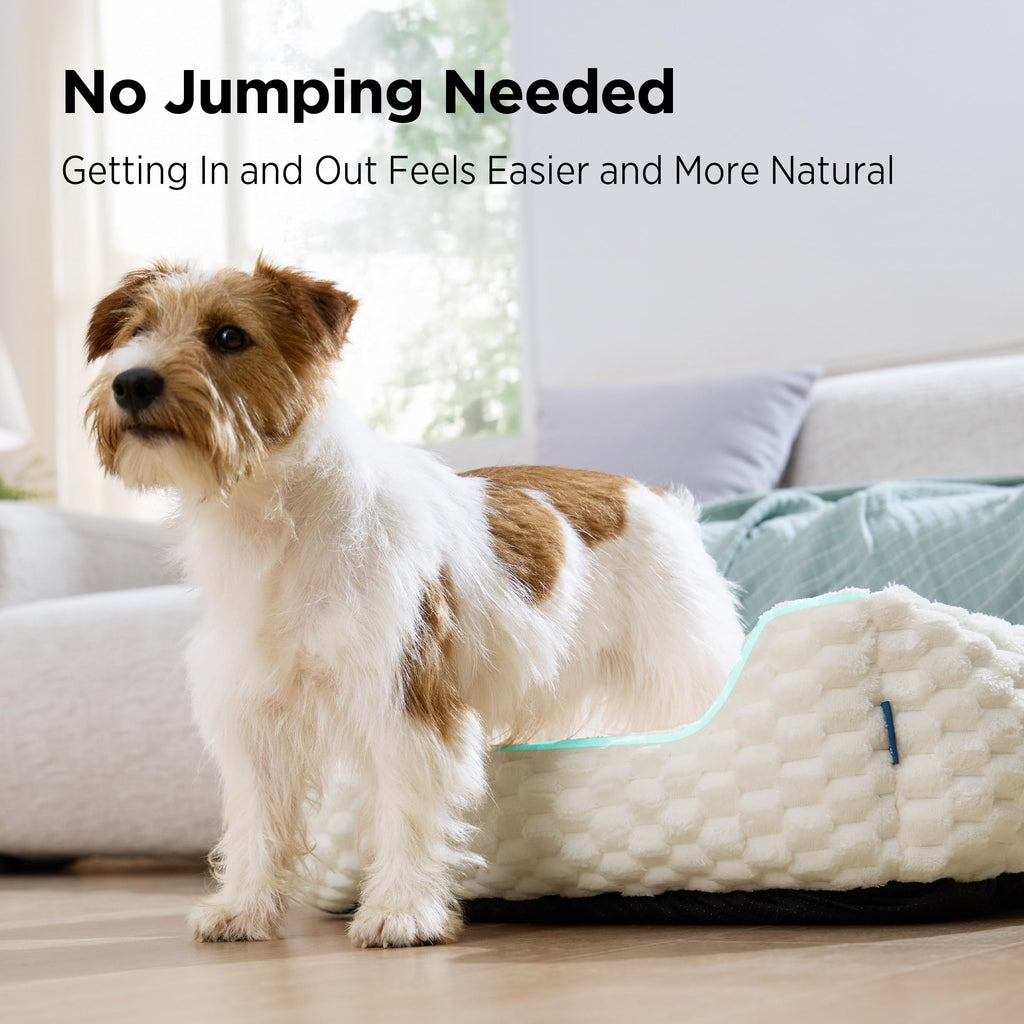 Washable Fluffy Dog Bed G85335