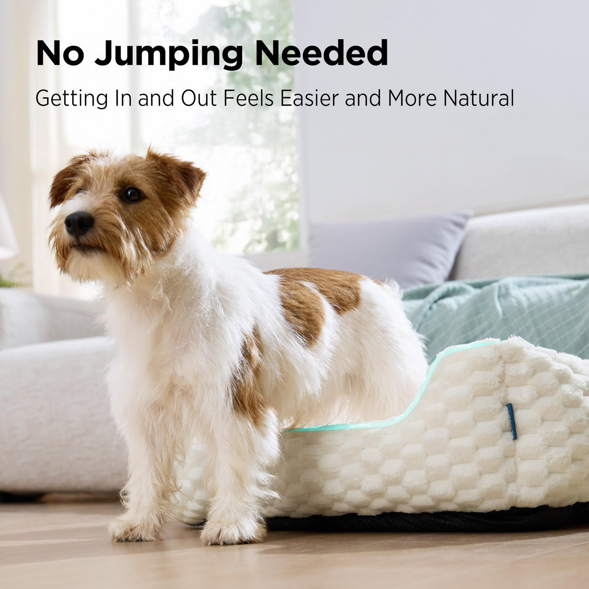Washable Fluffy Dog Bed G85335