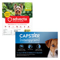 Flea and Tick Prevention for Small Dogs 6 Doses X891