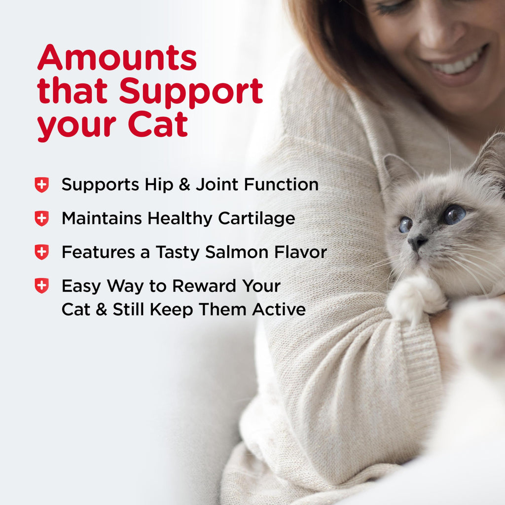 Cat Hip & Joint Supplement Glucosamine 3oz L652700