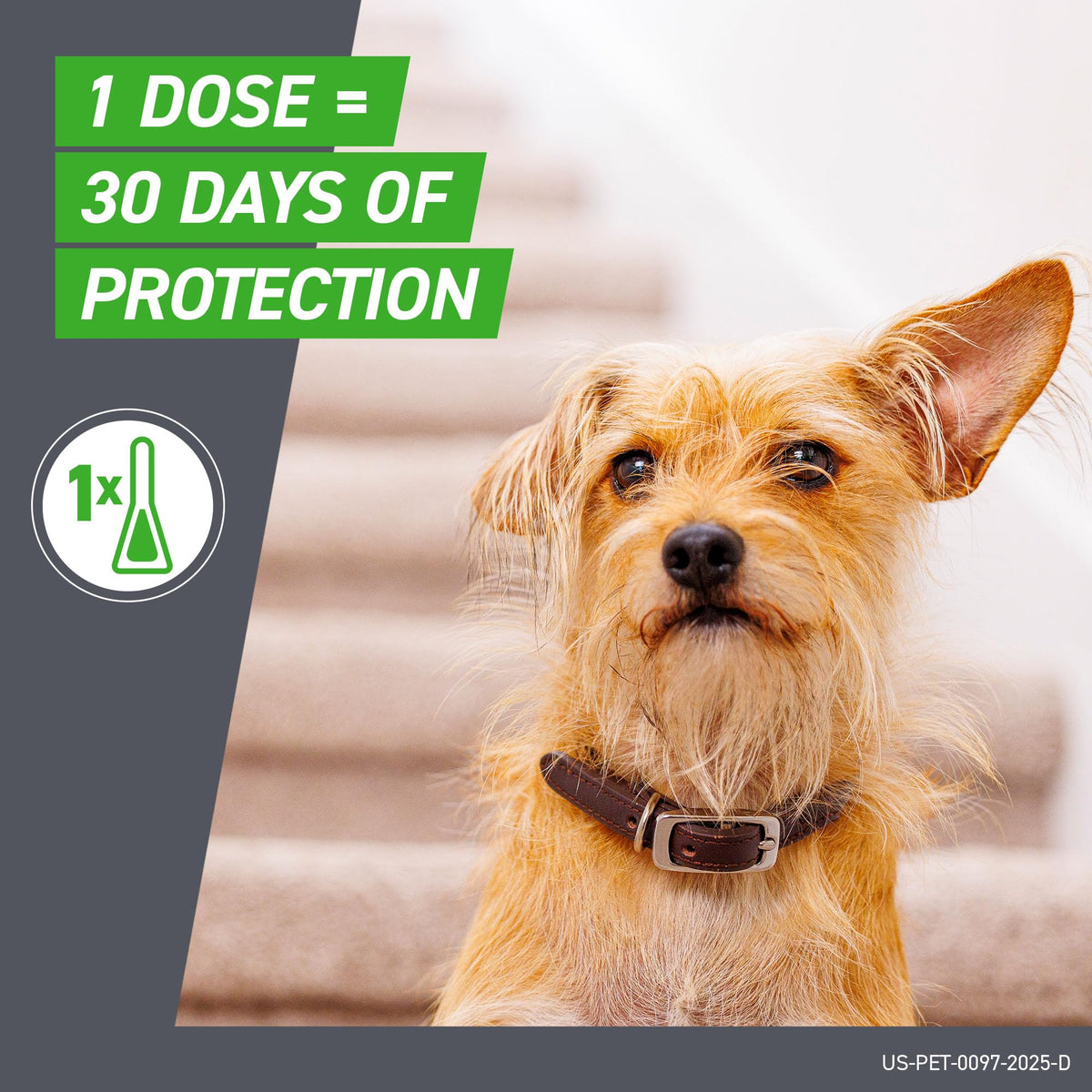 Flea & Tick Spot Treatment for Small Breed Dogs 5-22 lbs D8432