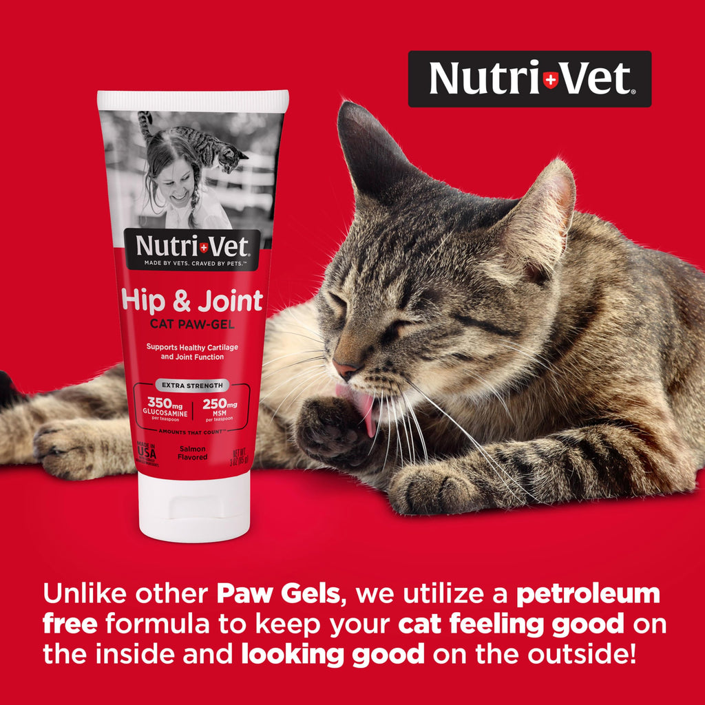 Cat Hip & Joint Supplement Glucosamine 3oz L652700