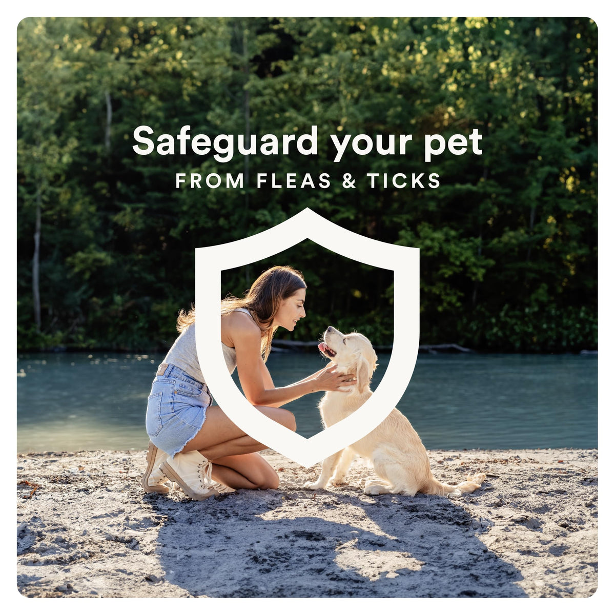 Flea and Tick Prevention for Small Dogs 6 Doses X891