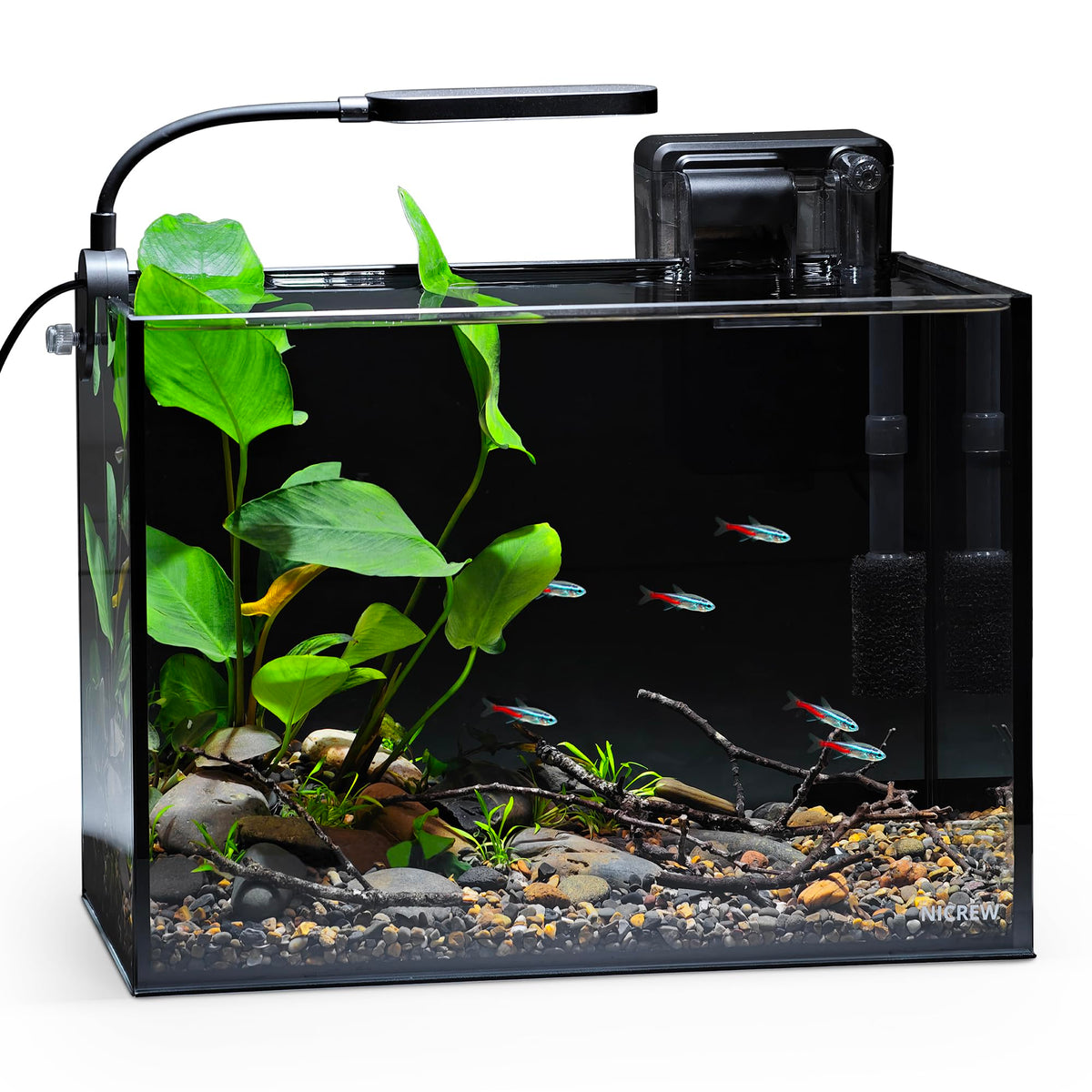 2.5 Gallon Aquarium Kit D86515