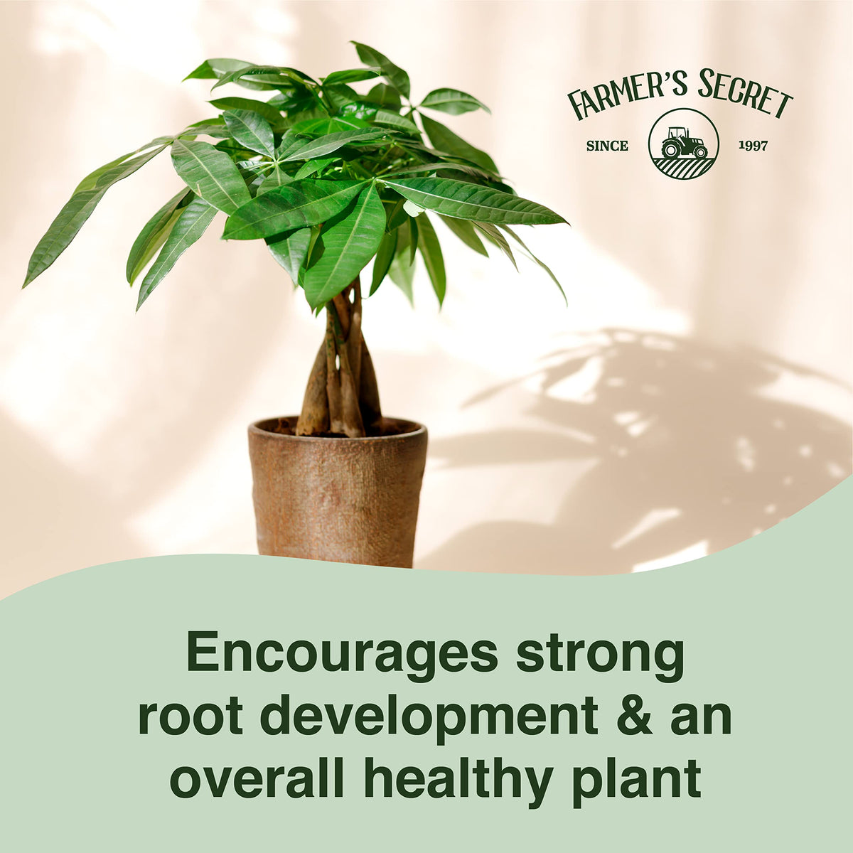 Money Tree Liquid Plant Food Fertilizer 8oz Concentrated M546377