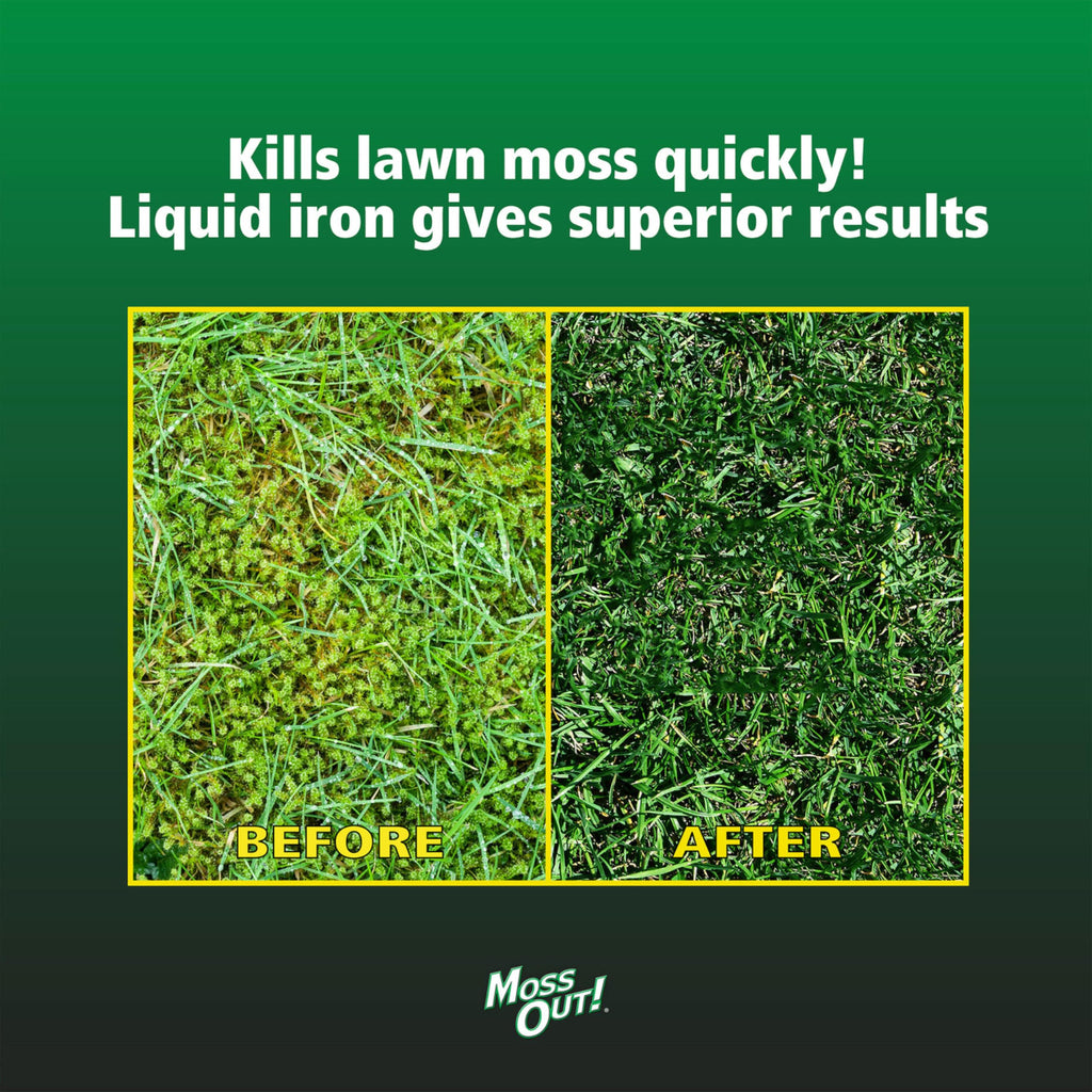 Moss Killer for Lawns Concentrate, 1 Gallon D3567