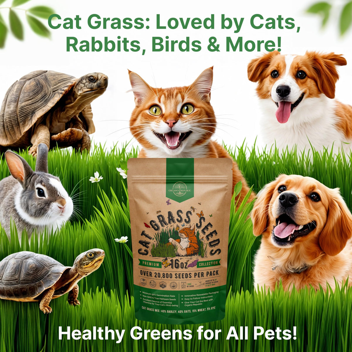 Cat Grass Seeds Mix 16 oz Non-GMO Heirloom G382