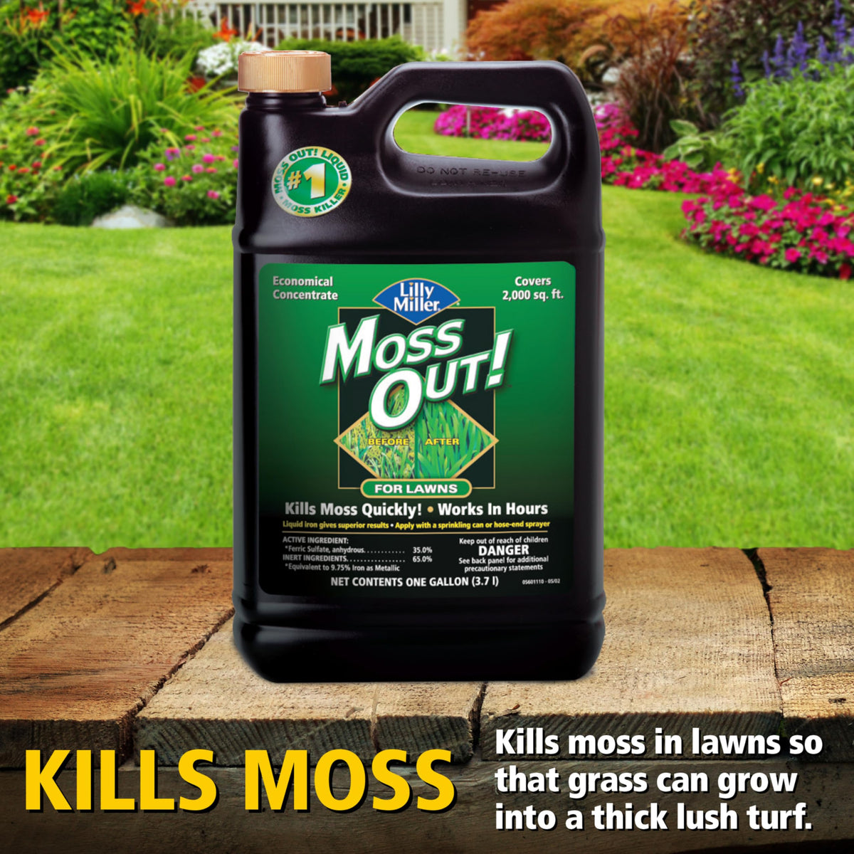 Moss Killer for Lawns Concentrate, 1 Gallon D3567