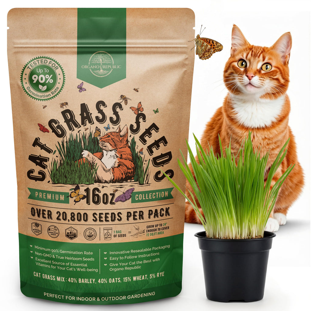 Cat Grass Seeds Mix 16 oz Non-GMO Heirloom G382